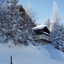 OLYMPUS DIGITAL CAMERA OLYMPUS DIGITAL CAMERA