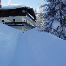 OLYMPUS DIGITAL CAMERA OLYMPUS DIGITAL CAMERA