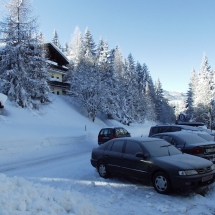 OLYMPUS DIGITAL CAMERA OLYMPUS DIGITAL CAMERA