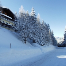 OLYMPUS DIGITAL CAMERA OLYMPUS DIGITAL CAMERA