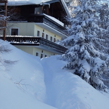 OLYMPUS DIGITAL CAMERA OLYMPUS DIGITAL CAMERA