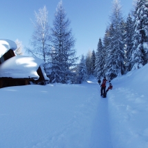 OLYMPUS DIGITAL CAMERA OLYMPUS DIGITAL CAMERA