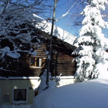 OLYMPUS DIGITAL CAMERA OLYMPUS DIGITAL CAMERA