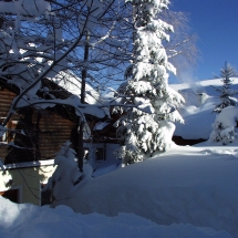 OLYMPUS DIGITAL CAMERA OLYMPUS DIGITAL CAMERA