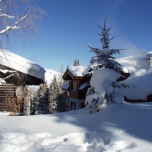 OLYMPUS DIGITAL CAMERA OLYMPUS DIGITAL CAMERA