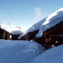 OLYMPUS DIGITAL CAMERA OLYMPUS DIGITAL CAMERA