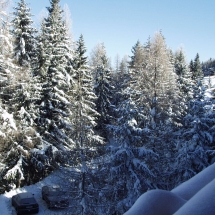 OLYMPUS DIGITAL CAMERA OLYMPUS DIGITAL CAMERA