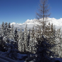 OLYMPUS DIGITAL CAMERA OLYMPUS DIGITAL CAMERA