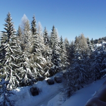 OLYMPUS DIGITAL CAMERA OLYMPUS DIGITAL CAMERA