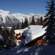 OLYMPUS DIGITAL CAMERA OLYMPUS DIGITAL CAMERA