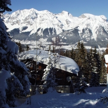 OLYMPUS DIGITAL CAMERA OLYMPUS DIGITAL CAMERA