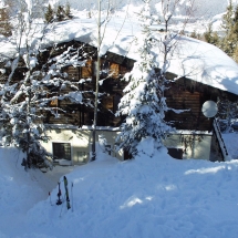 OLYMPUS DIGITAL CAMERA OLYMPUS DIGITAL CAMERA