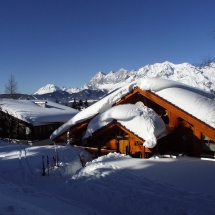 OLYMPUS DIGITAL CAMERA OLYMPUS DIGITAL CAMERA