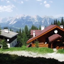 OLYMPUS DIGITAL CAMERA OLYMPUS DIGITAL CAMERA