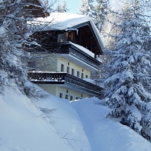 OLYMPUS DIGITAL CAMERA OLYMPUS DIGITAL CAMERA