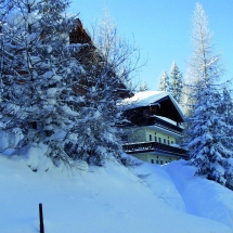 OLYMPUS DIGITAL CAMERA OLYMPUS DIGITAL CAMERA